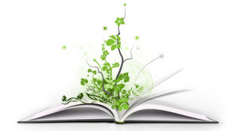 plant growing from open book