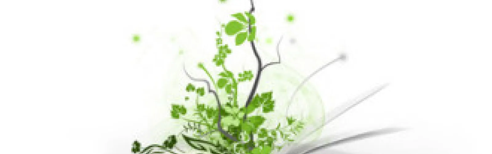 plant growing from open book